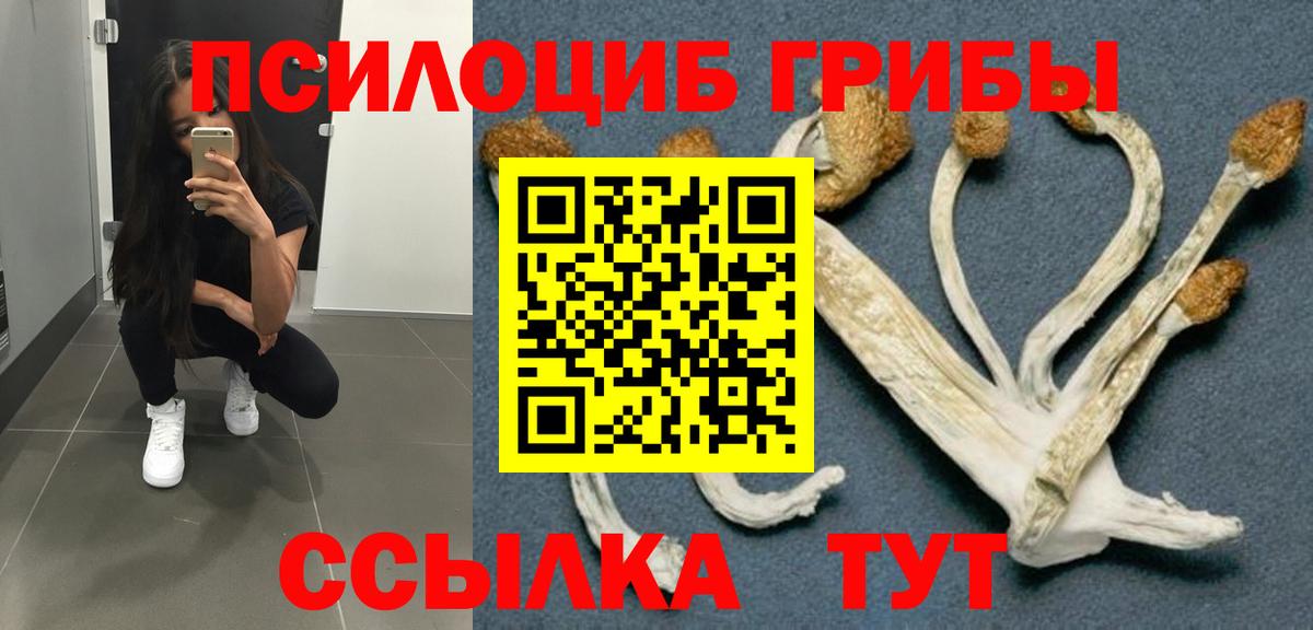 Галлюциногенные грибы Psilocybine cubensis Татарск